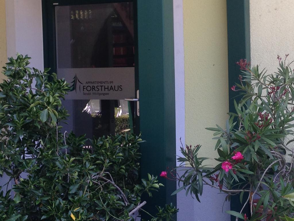 Appartements Im Forsthaus Strobl Eksteriør billede